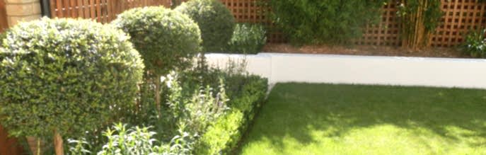 Harlow gardening photo